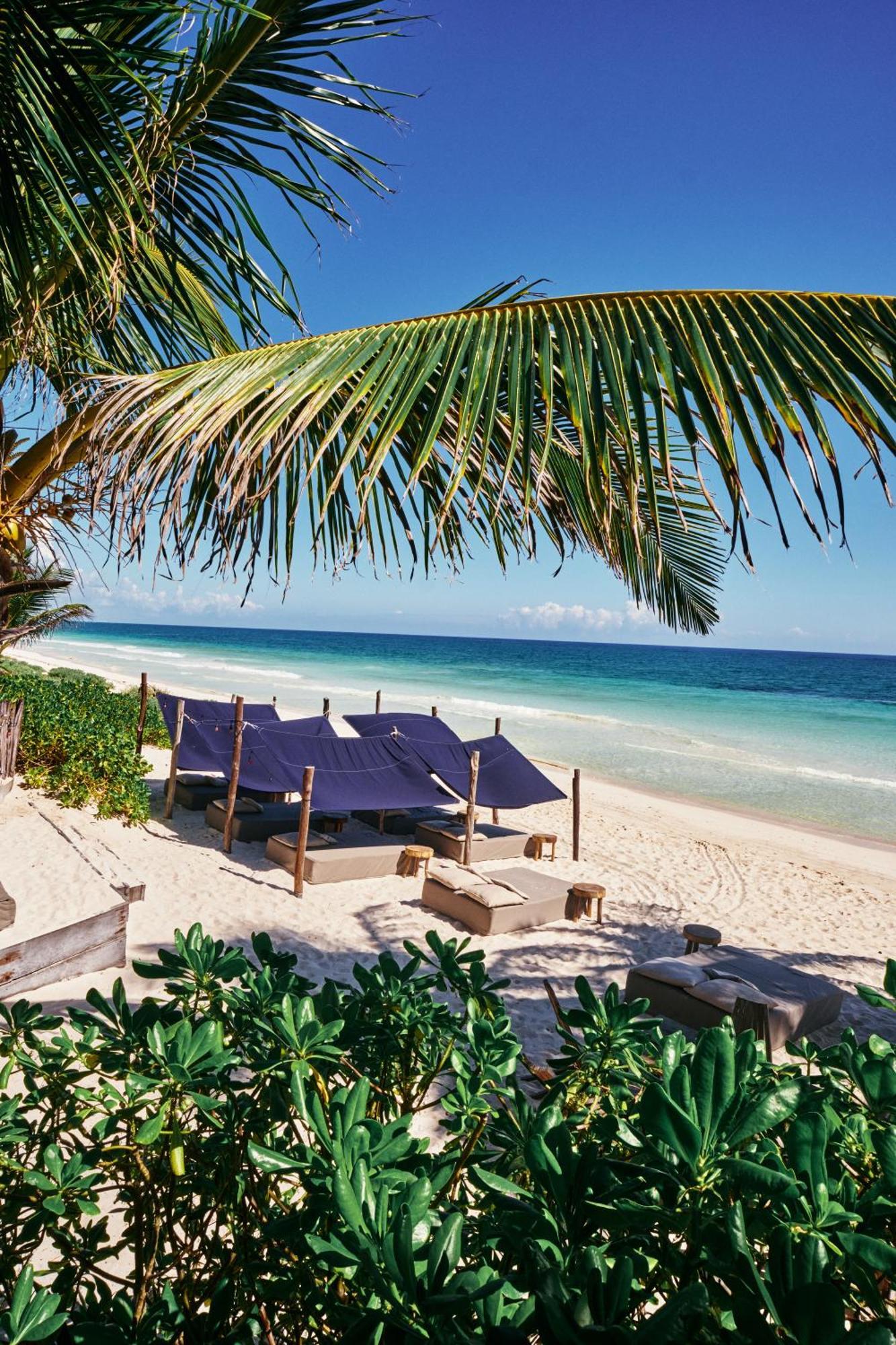 Libelula Tulum Beachfront Hotel Exterior photo