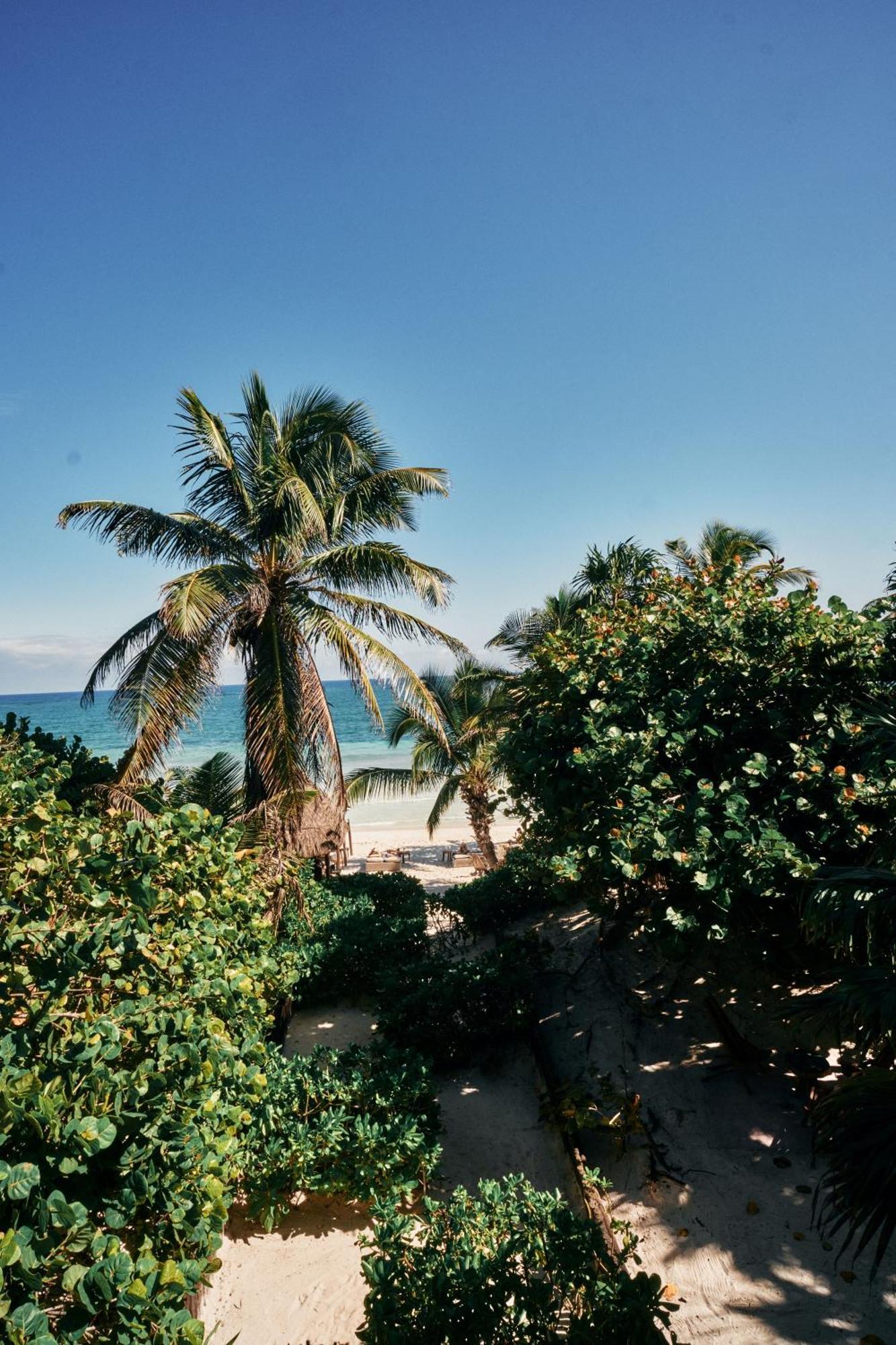 Libelula Tulum Beachfront Hotel Exterior photo