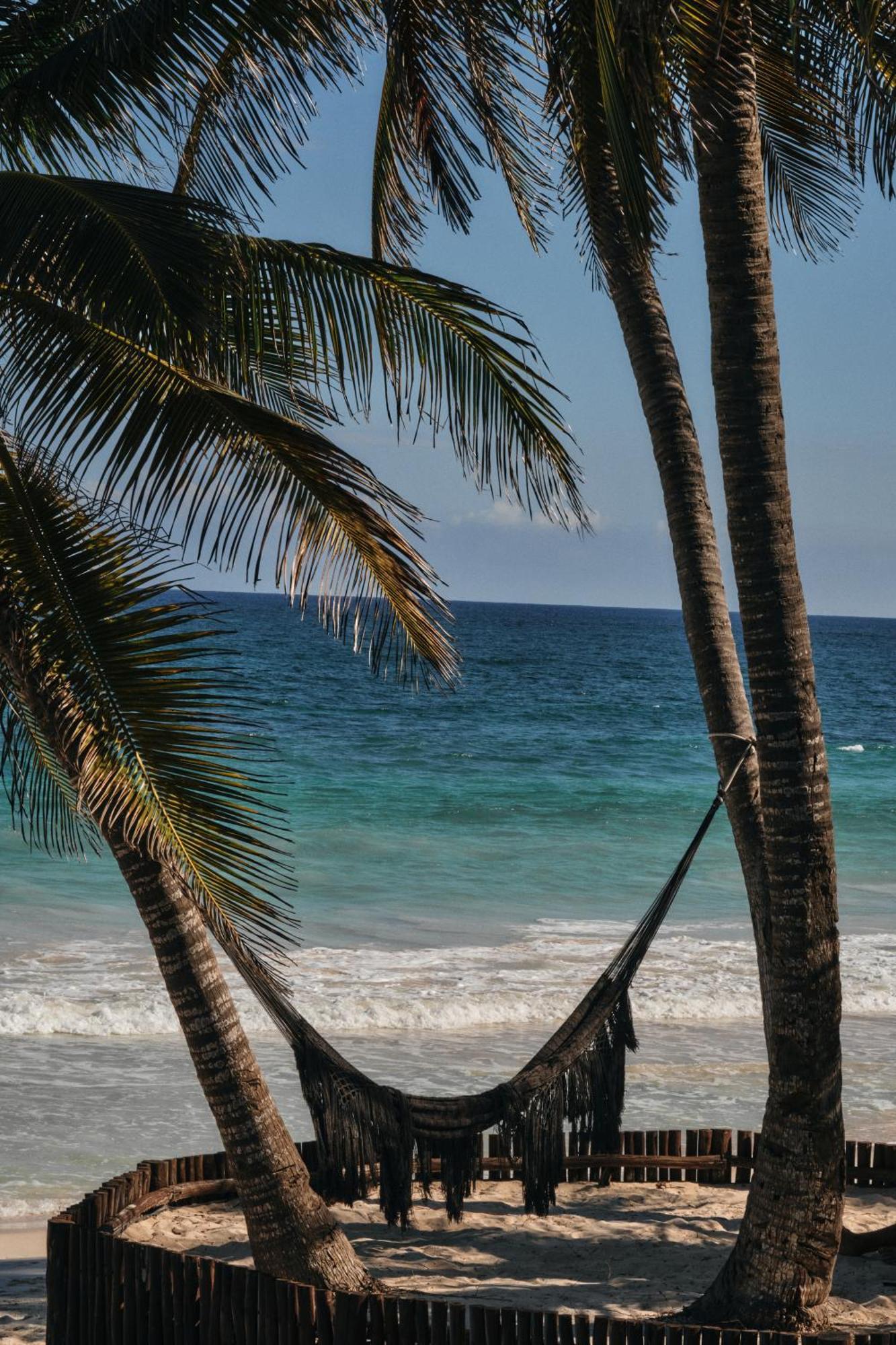 Libelula Tulum Beachfront Hotel Exterior photo